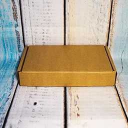 Почтовая коробка «Е» (№1) 265×165×50 мм